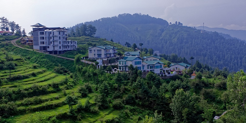 le: A town in Shimla
Alt Text: Scenic view of lush green hills and trees in Mashobra, India, under a clear blue sky.