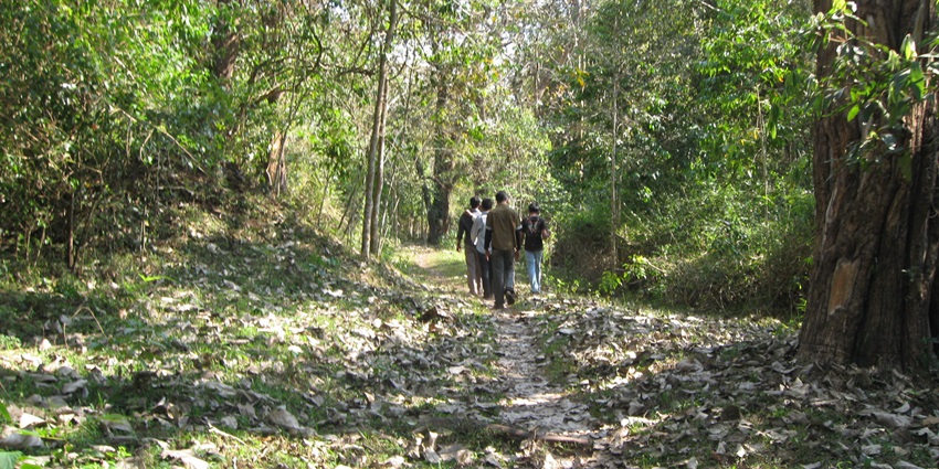 The only way to reach the Sabarimala Temple is via trekking through dense forests.