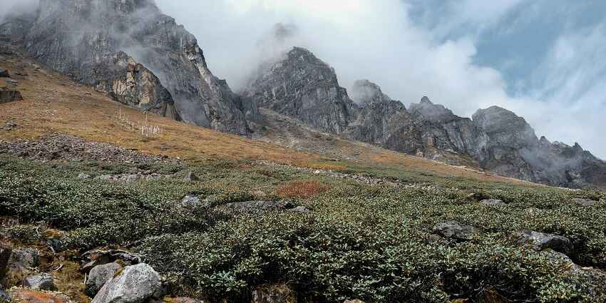 Yumthang Valley is one of the most enchanting places to visit around Yumthang Hot Spring.