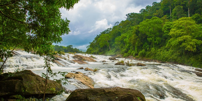The rich greenery at a high ascent serves solitude and peace of mind during this trek to view Meenmutty Falls.