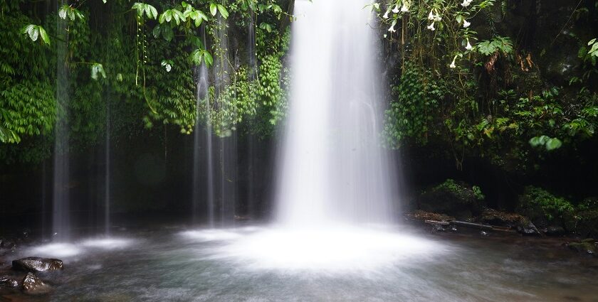 Here is a list of some of the best cascading attractions that you must explore once.