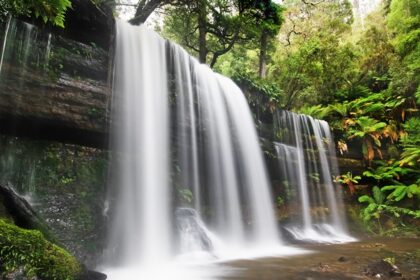 Get to explore this natural attraction located in the East Godavari district in A.P.