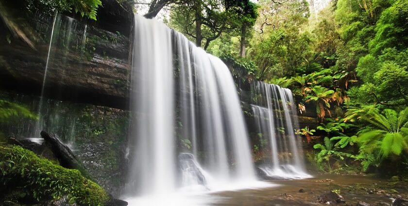 Get to explore this natural attraction located in the East Godavari district in A.P.