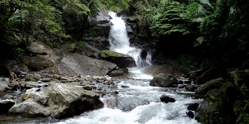 Enjoy a refreshing retreat at the Neer Veezhcha Waterfalls with its crystal clear waters