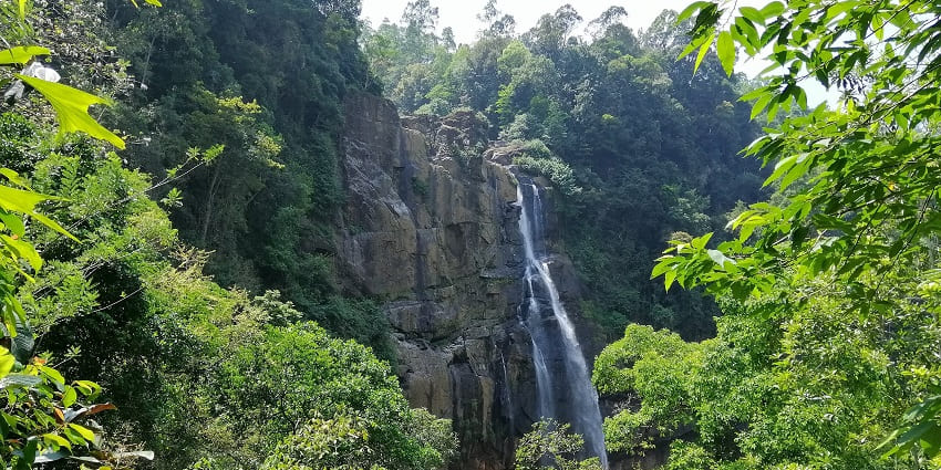 A glimpse of the scenic Aberdeen Falls, one of the top places to visit in Nuwara Eliya.