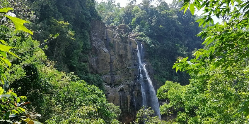 Aberdeen Falls is a picturesque waterfall amid lush greenery and tranquil surroundings.