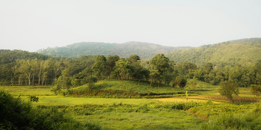 This famous national park is located on the northeast of India on the Tura Range.