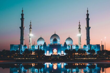 A picture of a museum in Abu Dhabi with an intricate and complex design