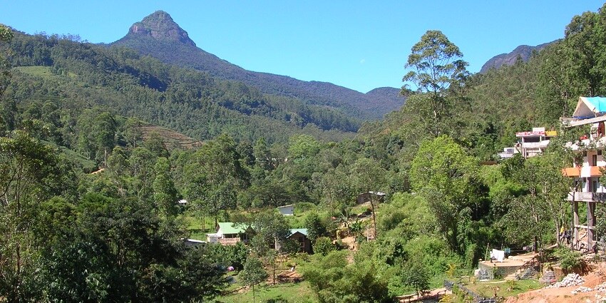 A captivating view of the lush greenery surrounding Adam’s Peak, a tourist hotspot.