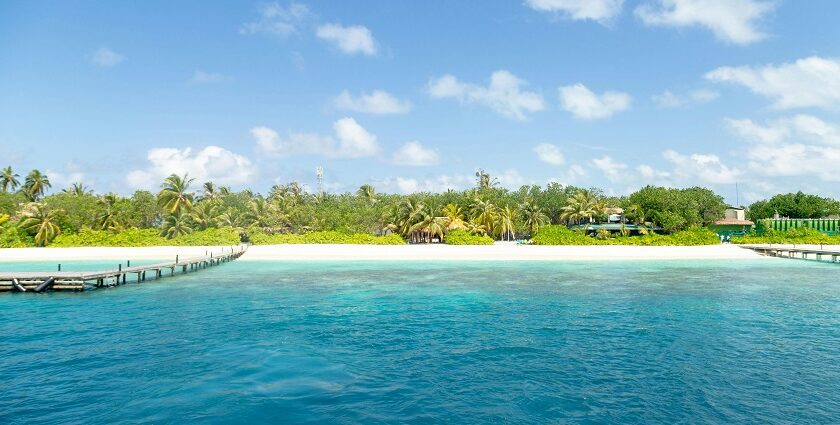 Addu Nature Park, on Hithadhoo Island in the Maldives, is home to rich biodiversity.