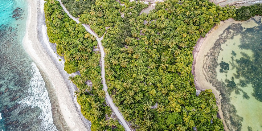 Addu Wetlands is a freshwater ecosystem to preserve the diverse marine life of the region.
