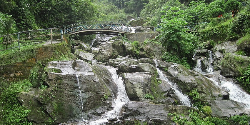 Watch the serene waterfall which has a gentle water flow stream in a forested area