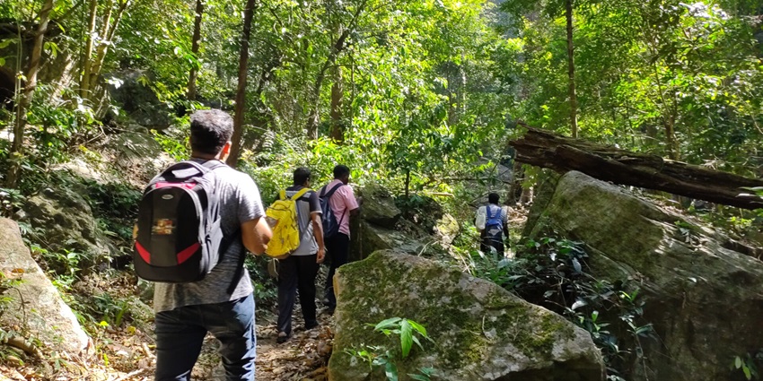 Agasthyarkoodam is the second highest and one of the best trails for trekking in Kerala.