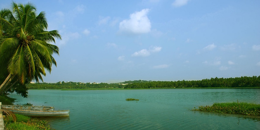 Akkulam Lake in Kerala with still waters, lush greenery, and reflections of coconut trees.