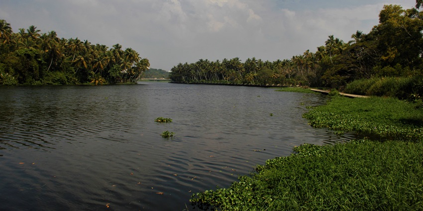 Akkulam Lake is a lovely backwater destination of Kerala that offers scenic picnic spots of the state.