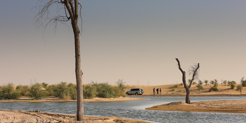 Al Qudra Lake is one of the best places to enjoy night camping in Dubai city, UAE.