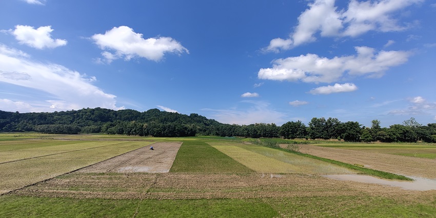 Snapshot of the scenic grassland in Assam—Enchanting places to visit in Karbi Anglong