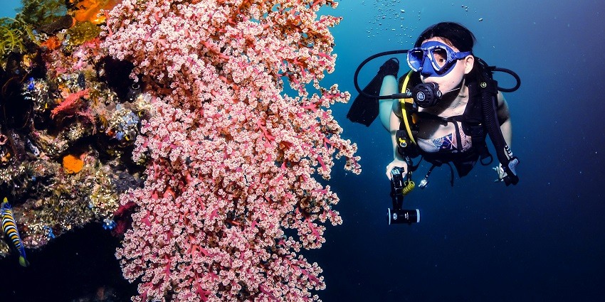 Scuba diver exploring a colorful coral reef, showcasing the Phu Quoc scuba diving experience.