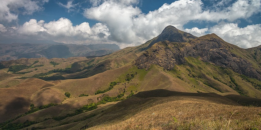 Trek to Anamudi Peak for one of the most unique new year parties in Munnar.