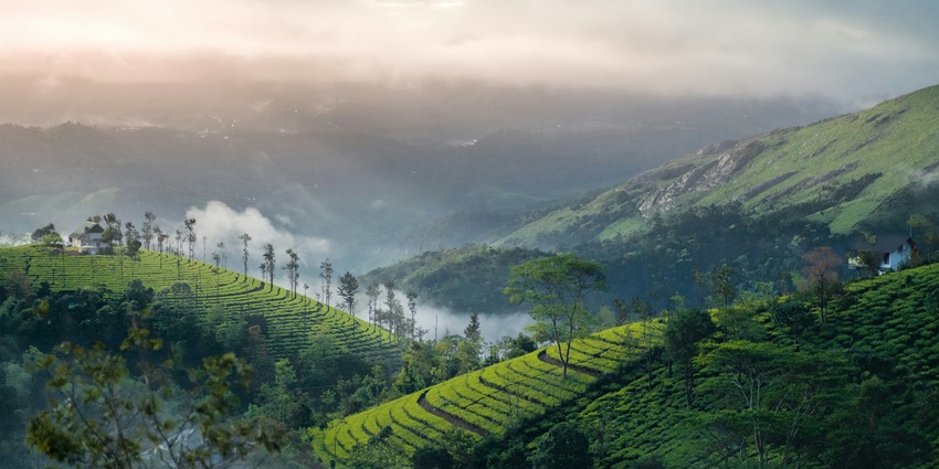 Ananthagiri Hills, a famous tourist attraction, is a place with stunning natural beauty.