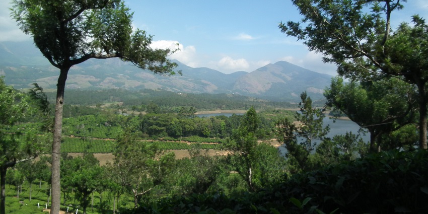 Panoramic view of from the hill of Anayirankal Hill station nearby Chinnakanal Waterfalls