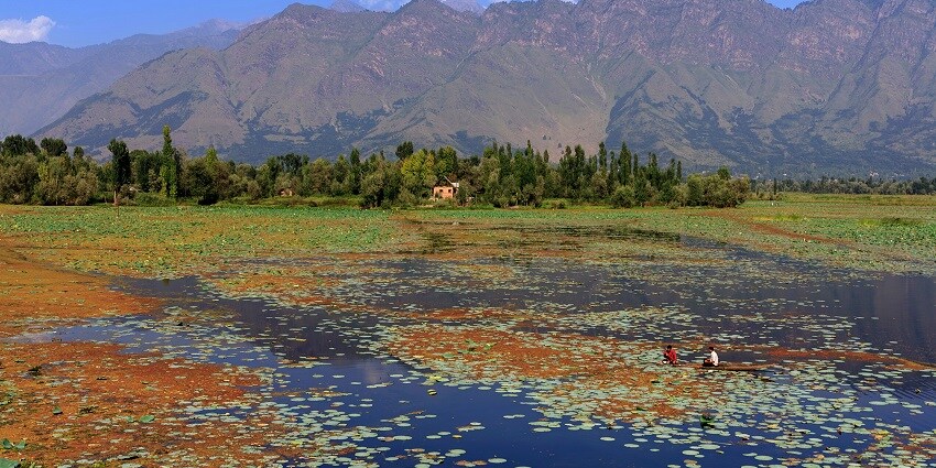 Anchar Lake is a scenic lake near this wildlife sanctuary that is enveloped by hills