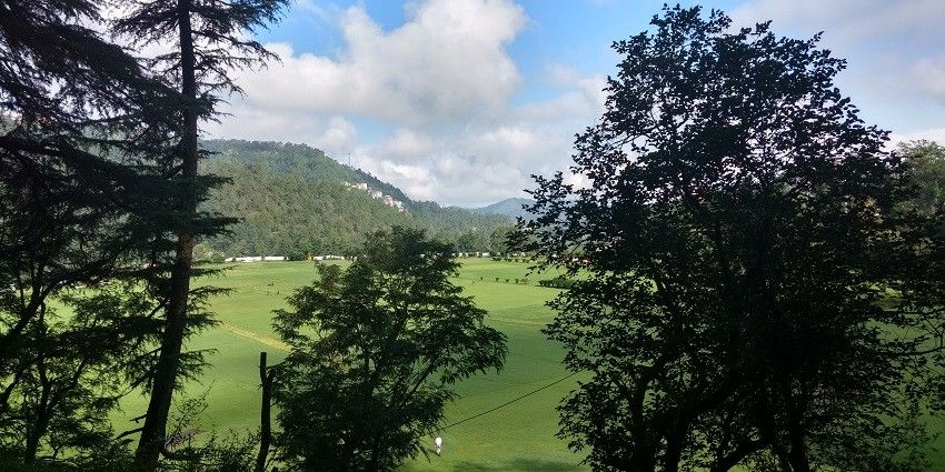 A picture of a beautiful green valley in Himachal Pradesh surrounded by tall trees