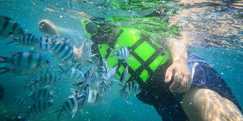 A diver enjoying snorkelling in the clear waters of Thailand filled with fish