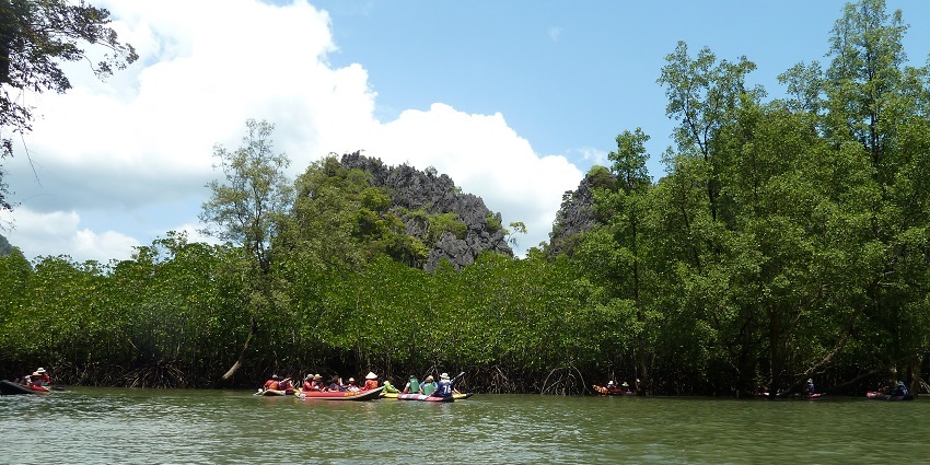 Indulge in the exciting kayaking in Phuket at the famous spot of Ao Phang Nga Bay.