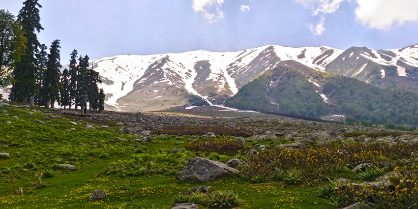 Apharwat Peak is a delight for all ski lovers as it has scenic sledge rides and meadows