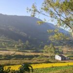 Lush hills and greenery of Araku Caves Valley, a picturesque region in Andhra Pradesh.