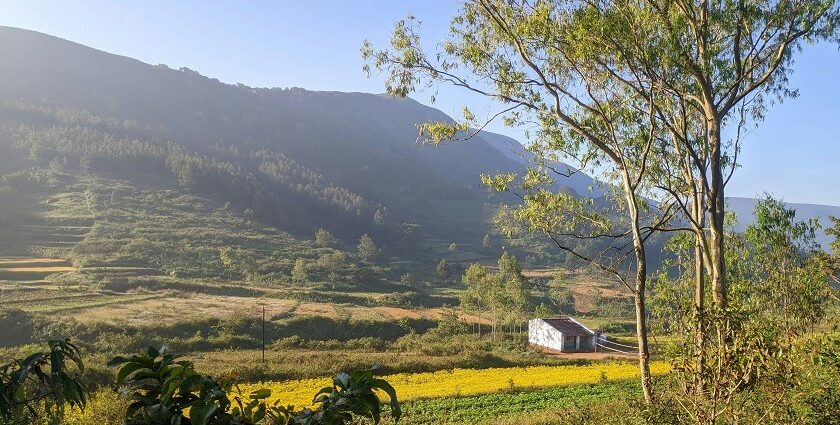 Lush hills and greenery of Araku Caves Valley, a picturesque region in Andhra Pradesh.