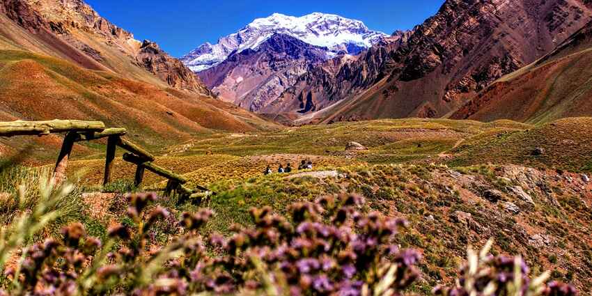 View of a mountain range in Argentina with colourful flowers in the front during the day.