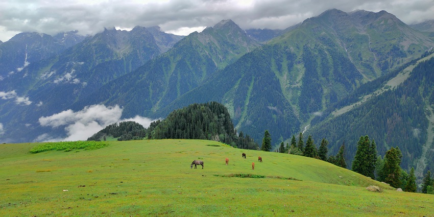 Explore the beauty of Aru Valley and its mountains where you can go on pony rides