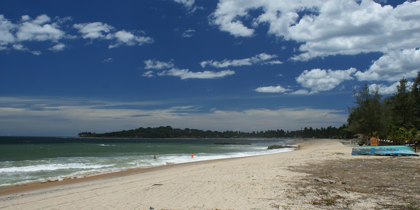 A stunning view of Arugam Bay beach with golden sand, gentle waves, and lush greenery.