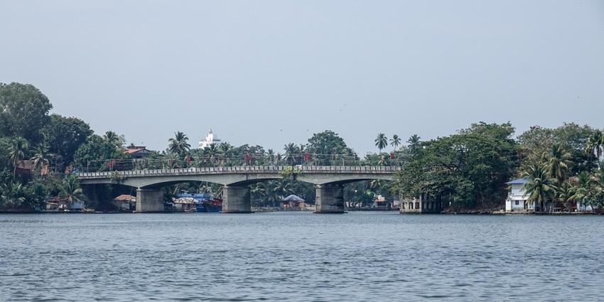A distant image of a bridge made over a lake, surrounded by trees and greenery.