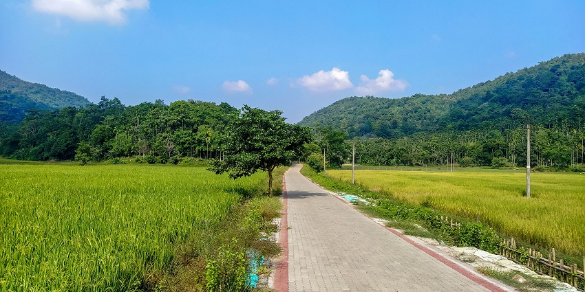 A picture view of a road with a tree on one side & lush green mountains in the background.