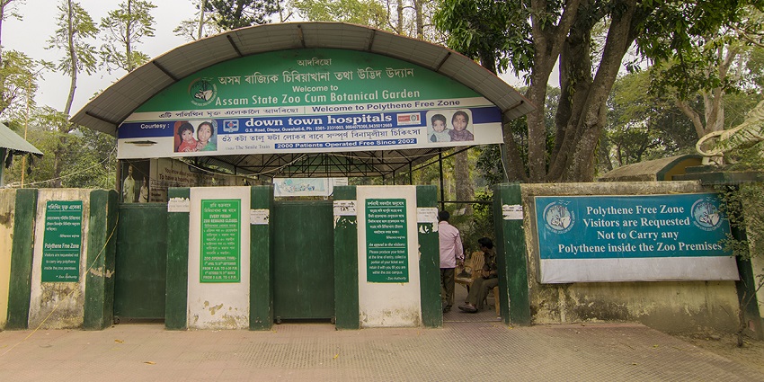 Assam State Zoo with diverse wildlife, lush greenery, and well-maintained.
