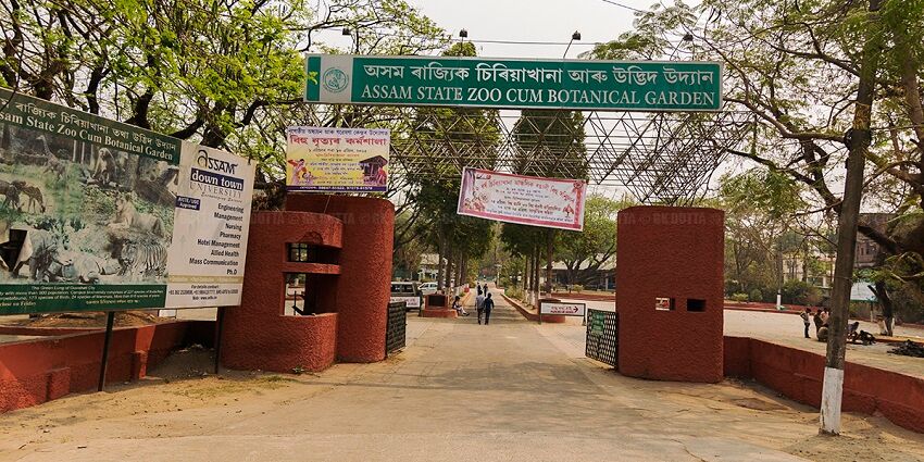 A picture of the entrance gate of the famous Assam State Zoo cum Botanical Garden.