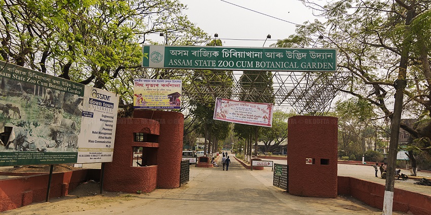 View of the entry gate of Assam Zoo, a tourist attraction near Daragaon picnic place.
