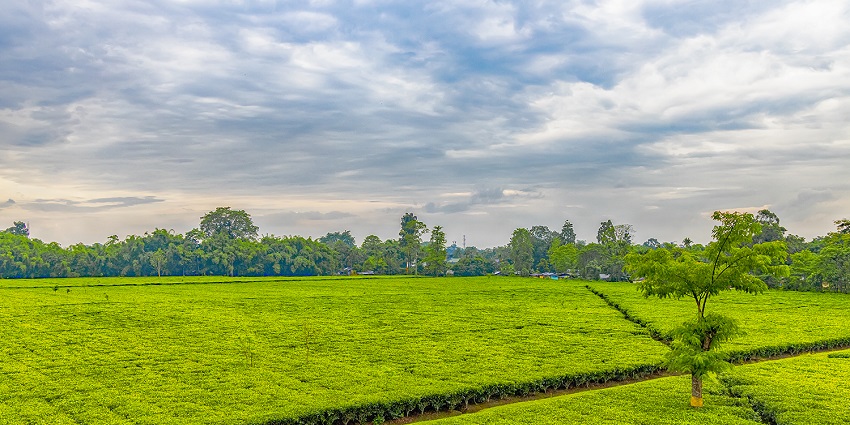 To make the most of your holiday, visit this scenic destination during the winter season.
