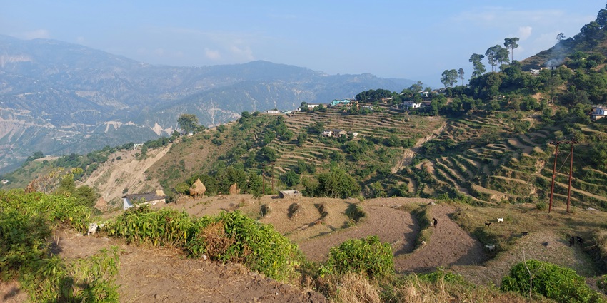 A scenic vista of rolling meadows of Attappadi Hills surrounded by lush green vegetation.