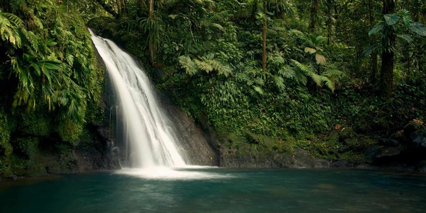 A breathtaking view of a majestic waterfall surrounded by lush greenery during the day.