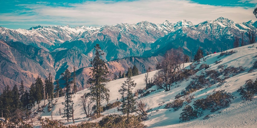 View of the mountains of Auli covered with snow and pine trees