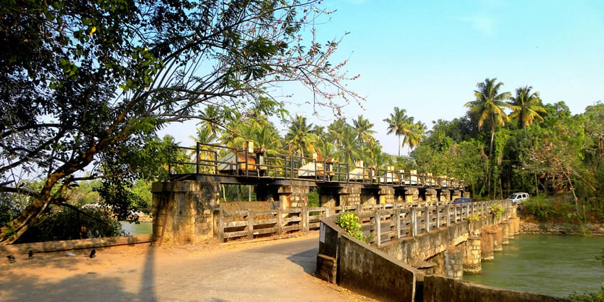 A picture of a bridge near the Chandragiri Fort with pine trees in the background