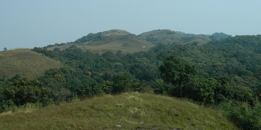 Baghmara, a quaint town, is best to visit for wildlife photography and biodiversity.