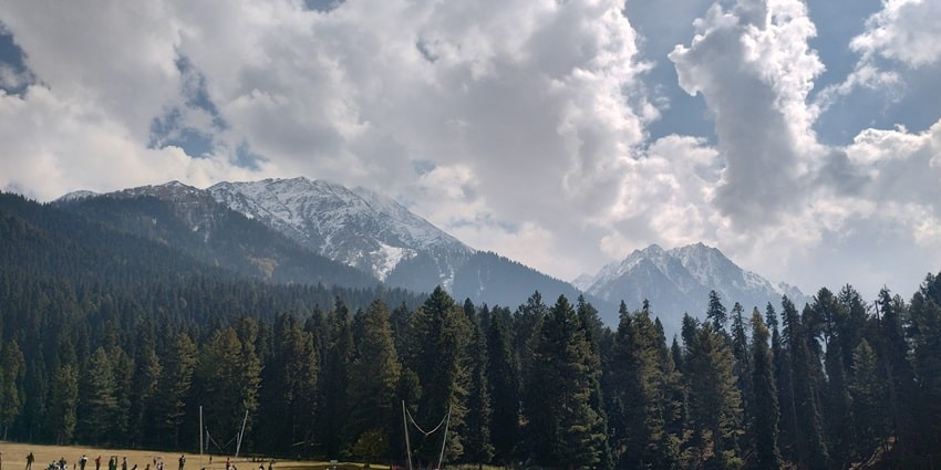 Explore the lush meadows of Baisaran decked with colourful wildflowers in April.