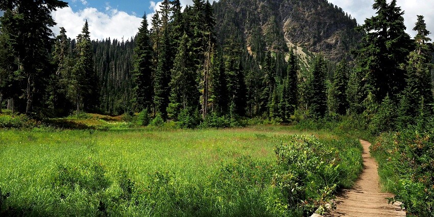 rk ALT Text: Bakhli Eco Tourism Nature Park is a famous tourist destination, located in Himachal.