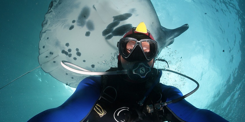 A picture of a scuba diver taking a picture with a Giant Manta