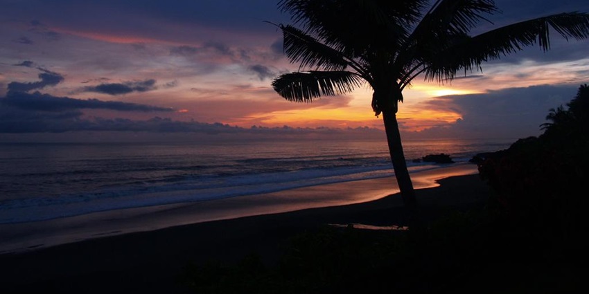 Scenic image of the beautiful Balian Beach and the palm tree during the sunset